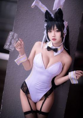 人类：体内的世界